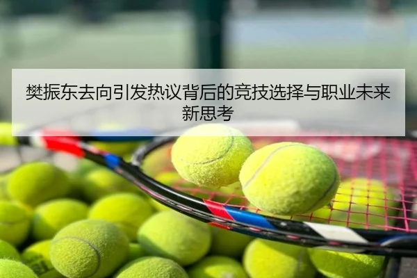 樊振东去向引发热议背后的竞技选择与职业未来新思考