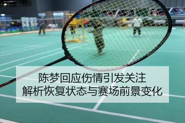 陈梦回应伤情引发关注 解析恢复状态与赛场前景变化
