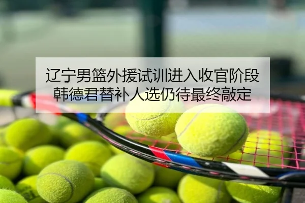 辽宁男篮外援试训进入收官阶段 韩德君替补人选仍待最终敲定