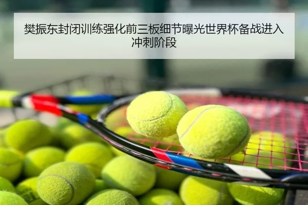 樊振东封闭训练强化前三板细节曝光世界杯备战进入冲刺阶段